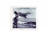 Absolute Imagination MUSIC c.d.[]JILS