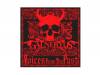 Voices From The Past[DVD][CD]GALNERYUS