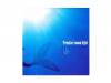 Primitive moon light[ DVD]Ruvieʤ뤦 