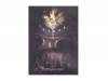 [DVD]HIZAKI grace project