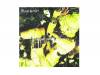 GRANDIOSE DELUSION[]BLAM HONEY