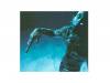 -CREATURES- [CD]PIERROT