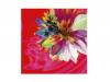Cassis B[CD]the GazettE