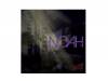 NOAH ̾BtypeRoyz