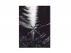 ͼǥ/ͥƥ/鯿 [CD]PIERROT