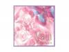 Vain [CD]Phantasmagoria