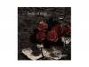 Seeds of Brain[CD]Phantasmagoria
