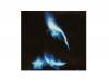 BURNING STONE(MAGAIBUTSU LIMITED)[CD]륤