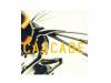 ɥZ [CD]CASCADE
