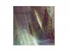 Ť A[CD]Plastic Tree