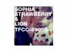 STRAWBERRY & LIONSOPHIA