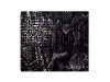 Aleph[CD]AshALPHA