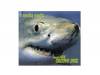 media MIX GROOVE DISC [CD]media youth