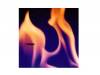 PYROMANIA[]Jʥ