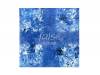 false[]PLEIADES