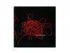 ֤[CD]Merry Go Round