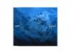 press(1st press)[CD]nord