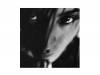 TRUTH[]SUGIZO