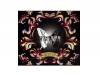FLASH BACK[CD]Хƥ