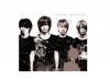 ץ쥤/Dolly ̾סPlastic Tree