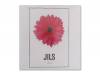 ֤ 99ǯ1224[CD]JILS