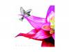 ۥޥ [CD]Moran