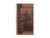 Tabularesa[VHS]STELLA MARIA