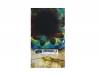 pictures 2[VHS]̴