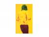 1996 FAKE STARS CIRCUIT BOYS ONLY[VHS]̴