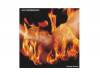 BURNING HAMMER [CD]SEX MACHINEGUNS