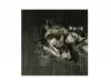 οα [CD]DIR EN GREY