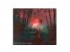 GAUZE [CD]Dir en grey