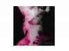 Gather Roses[CD]SCREW