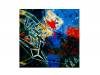 ȳڱ Type-B[CD]ͷ⡹ġߡPaRADEiS