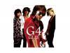 G4GLAY