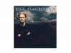 TAL BACHMAN סTAL BACHMAN
