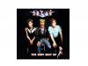 MEGA BEST ȥ쥤åġ٥ȡSTRAY CATS