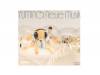 Neue Musik YUMI MATSUTOYA COMPLETE BEST VOL.1Ǥëͳ