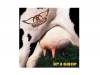GET A GRIP 93ǯ[]AEROSMITHʥߥ