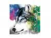 Υǥ B[CD]