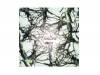 swallow[CD]12012