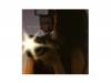 SHINE B[CD]12012
