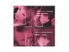 ץ 2ndץ쥹[CD]Vogus Image