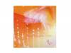 primary song memorialۤΧ[CD]