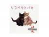ꥹڥȥХ[CD]k@mikaze