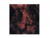 Ǳ [CD]