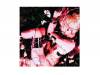 ARTIFICIAL DELUSION [CD]BLAM HONEY