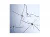 ̮ A[CD]Plastic Tree