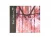 Idealism-ǥ-[CD]Wizard