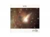 WITH[CD]DAIR